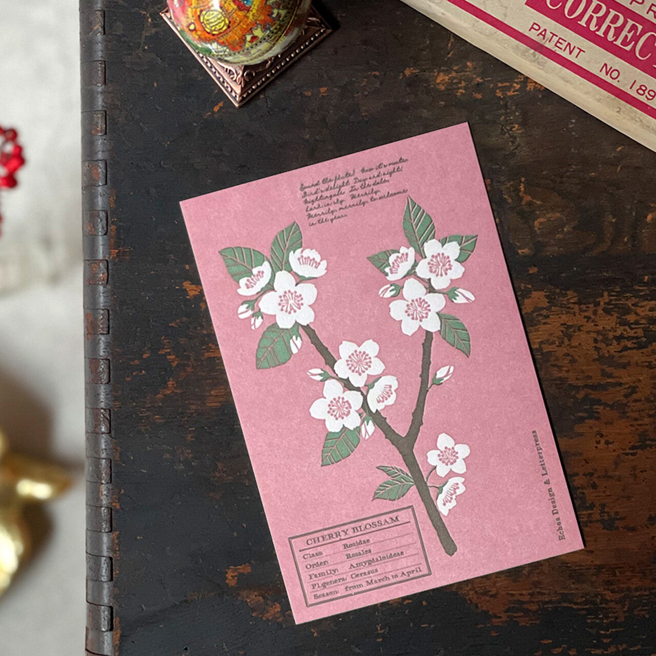 Echos Design Letterpress Postcards – Flower White Spring Series