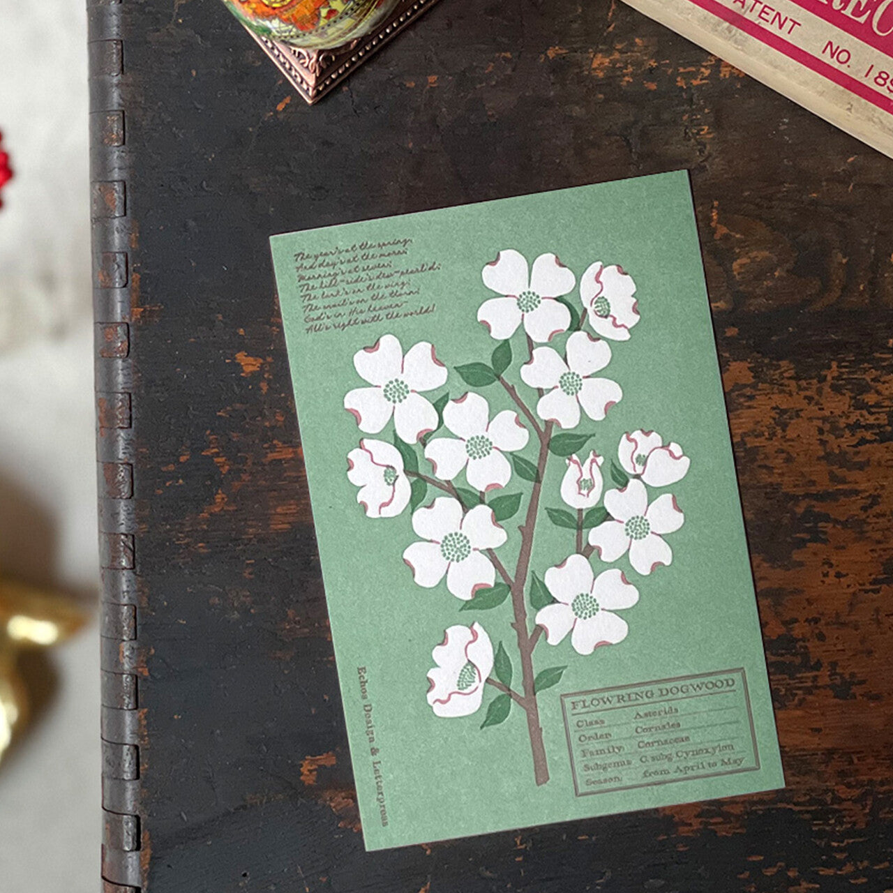 Echos Design Letterpress Postcards – Flower White Spring Series