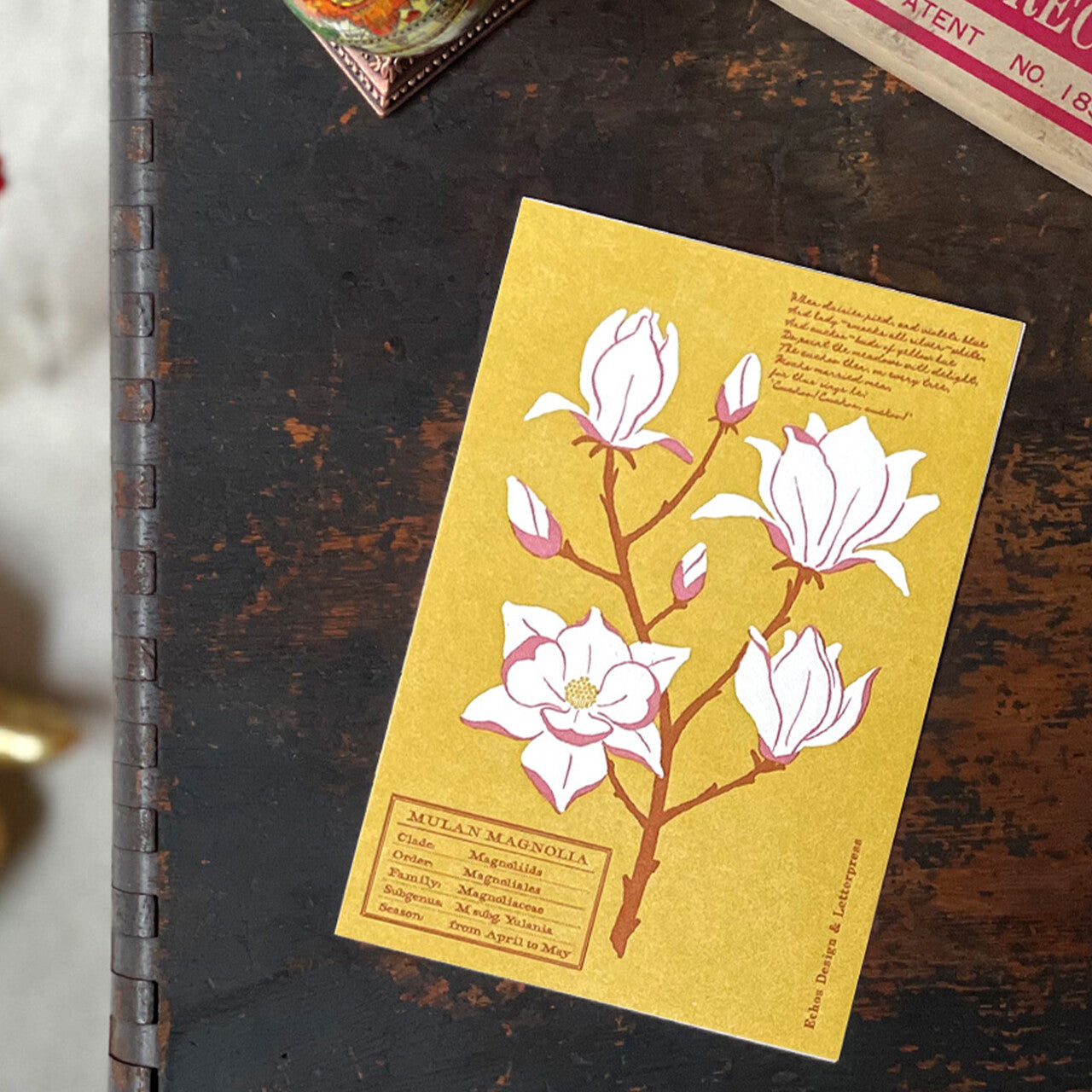 Echos Design Letterpress Postcards – Flower White Spring Series