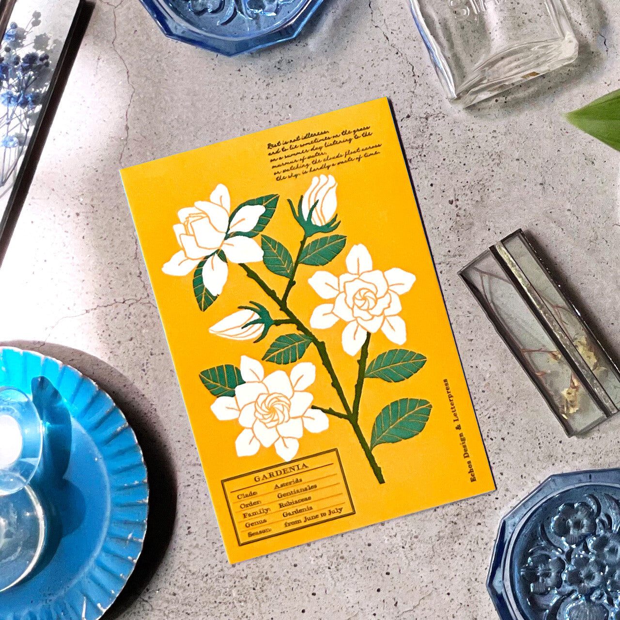 Echos Design Letterpress Postcards – Flower White Summer Series