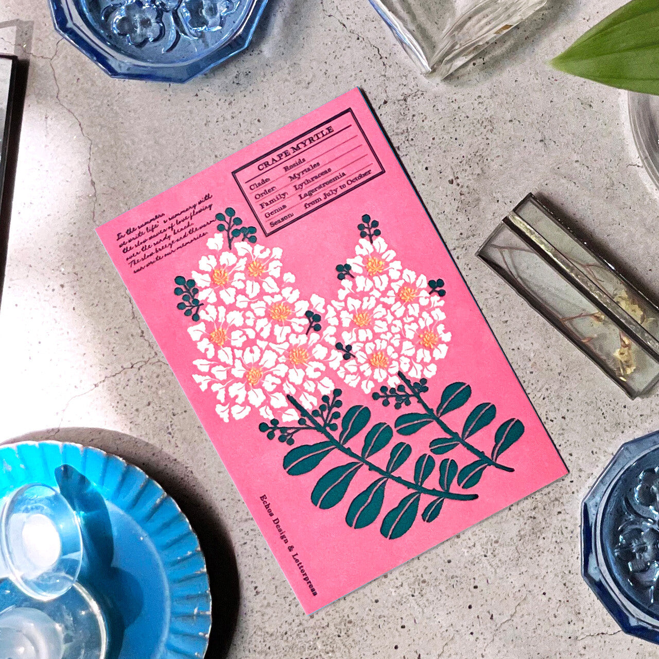 Echos Design Letterpress Postcards – Flower White Summer Series