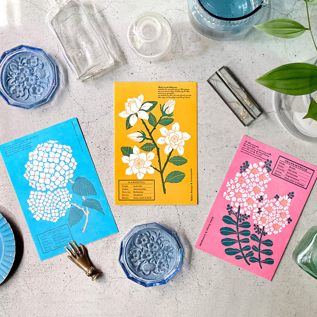 Echos Design Letterpress Postcards – Flower White Summer Series