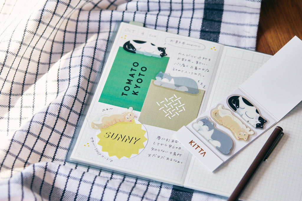 KITTA Pre-cut, Portable Decorative Tape Clear/CAT