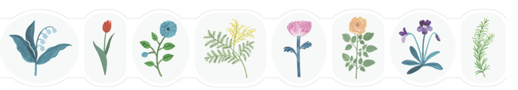 SODA transparent Masking Tape 1.2" Shaped / Nobana