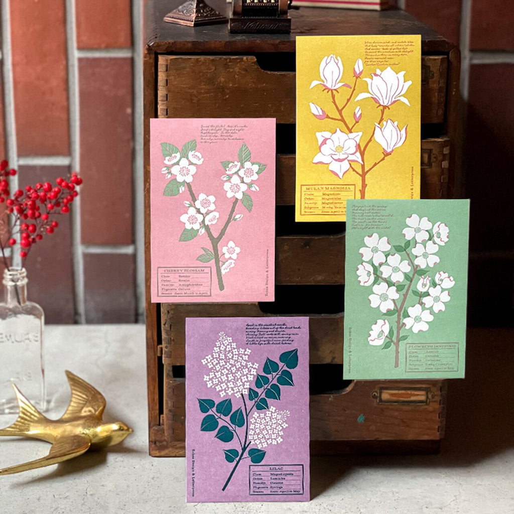 Echos Design Letterpress Postcards – Flower White Spring Series