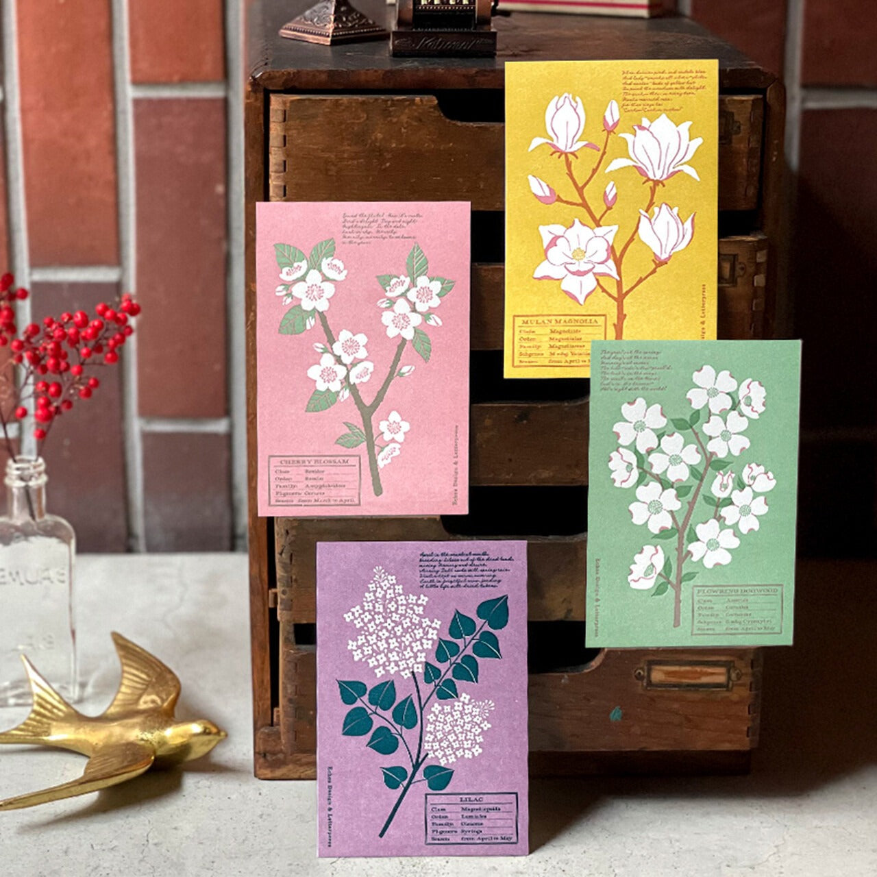 Echos Design Letterpress Postcards – Flower White Spring Series